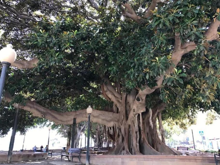 Carpediem Apart Alicante Centro Bajo A Kültér fotó